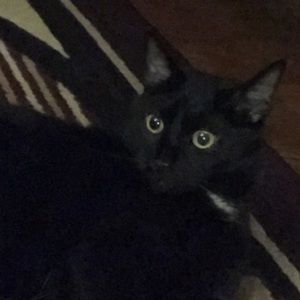 Meet your Posher, Darlene